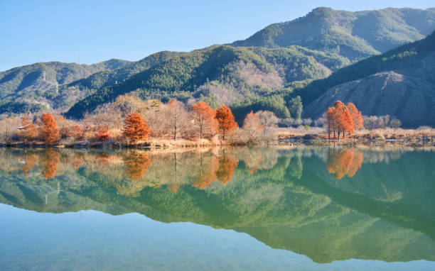 istock Late fall at Jucheon Ecological Park 1355988938