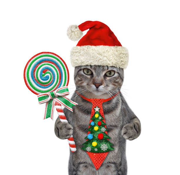 istock Cat gray in holiday tie with lollipop 1355997723