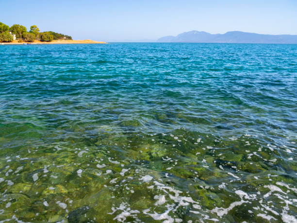panoramiczne widoki na plażę evia na plaży liani ammos w halkida, grecja w słoneczny letni dzień - chalkis zdjęcia i obrazy z banku zdjęć
