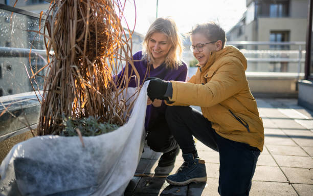 Mother and son preparing balcony plants for winter stock photo