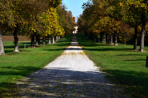The avenue leading to the house is flanked by a double row of trees illuminated by the grazing light of autumn