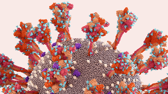 SARS-CoV-2 Spike Protein glycan shield (in blue) thwart the host immune response.\nCoronavirus structure.