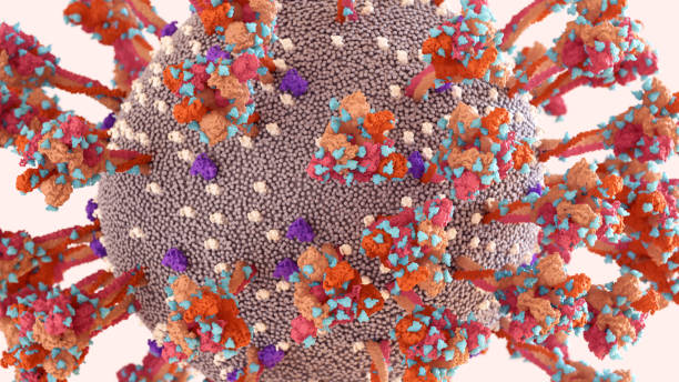 istock SARS-CoV-2 Spike Protein glycan shield (in blue) thwart the host immune response.Coronavirus structure. 1356006258