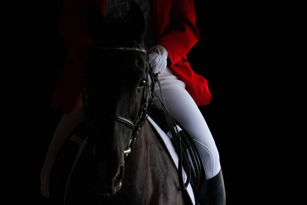 A rider in red jacket on horseback riding on dark background. Sportsman on black horse isolated on black background. bridle photos stock pictures, royalty-free photos & images