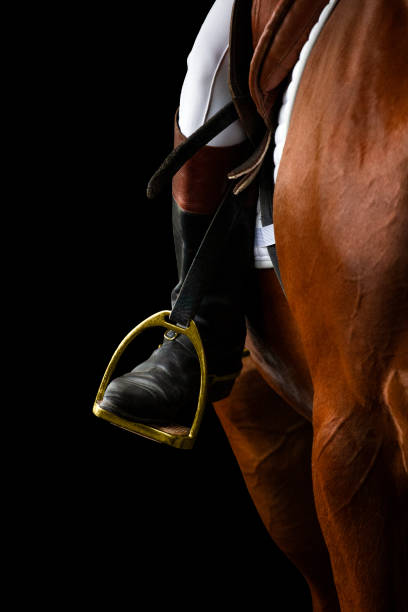 istock A rider's foot on brown horse looking forward closeup. 1356007716