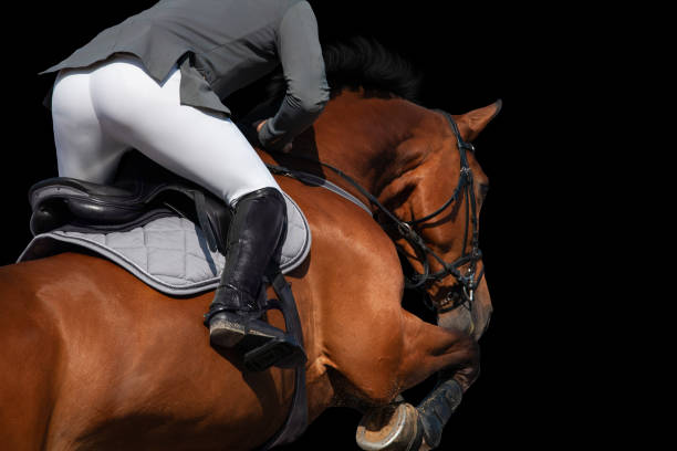 A rider on horseback jumping on dark background. Sportsman on bay horse isolated on black background. bay horse stock pictures, royalty-free photos & images