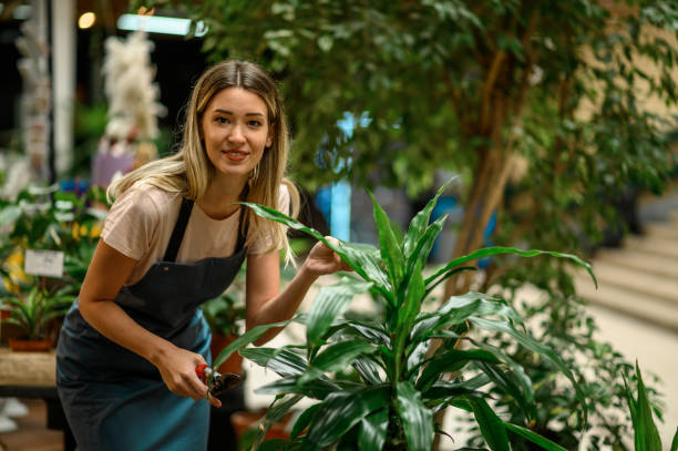 istock Florist taking care of a plant while using pruning shears 1356010180