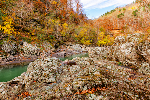 The famous mountain river Belaya in the Republic of Adygea, Russia. Stone granite river banks at the foot of the mountains covered with dense forest. The season is autumn, the forest is painted in autumn colors