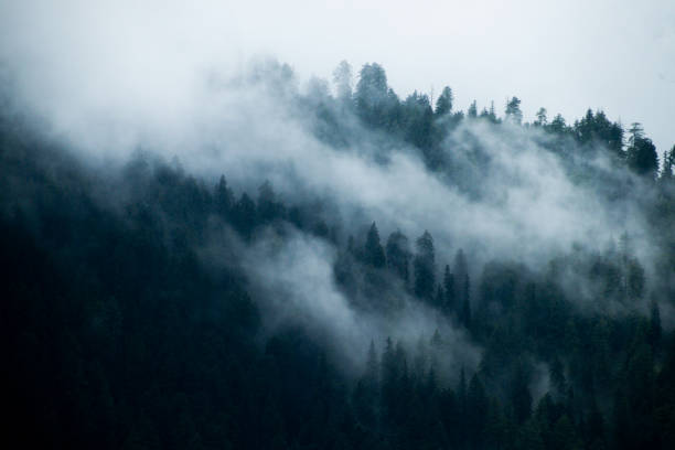 istock Various views of Narkanda. Shimla 1356011782