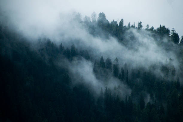 istock Various views of Narkanda. Shimla 1356011848