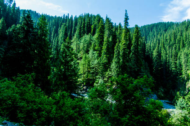 Narkanda is a town and a nagar panchayat in Kumarsain subdivision of Shimla district in the Indian state of Himachal Pradesh. It is at an altitude of 2708 meters on the Hindustan-Tibet Road in Himachal Pradesh, India within a fir forest.