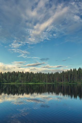 A calm lake in a forest on a summer evening in Dalarna, Sweden.