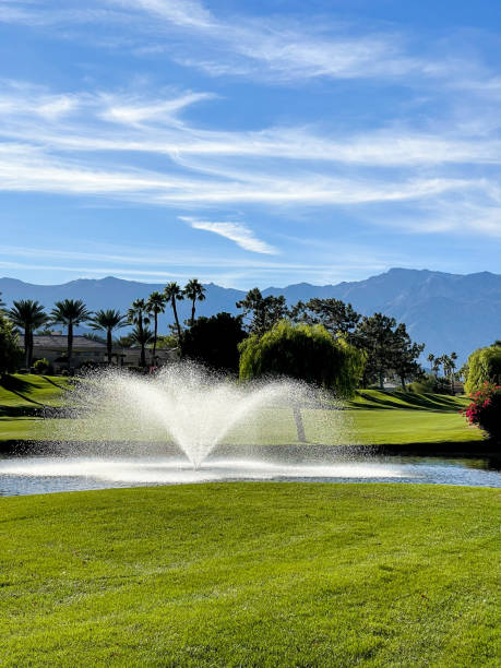 matinées sur le green - lawn desert golf california photos et images de collection