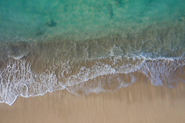 istock Abstract view of a white sand beach with waves 1356019249