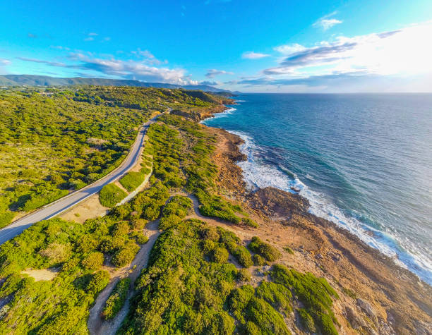 istock Rock and blue sea in Alghero coast seen from above 1356020425