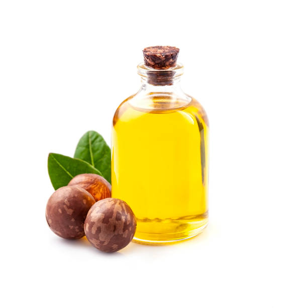 istock Macadamia oil nuts with leaves 1356020493