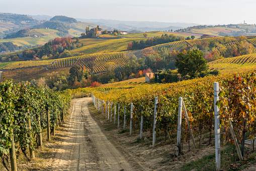 Beautiful autumnal landscape with the Castello della Volta, in the langhe region of Piedmont, Italy.