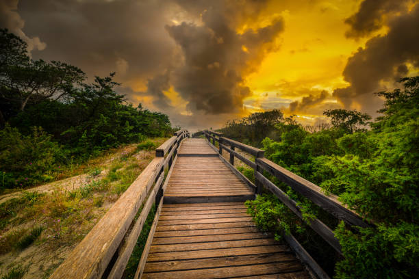 istock Dramatic sky over a wooden boardwalk at sunset 1356022045