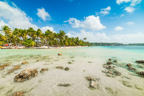 istock La Caravelle beach in Guadeloupe 1356022835