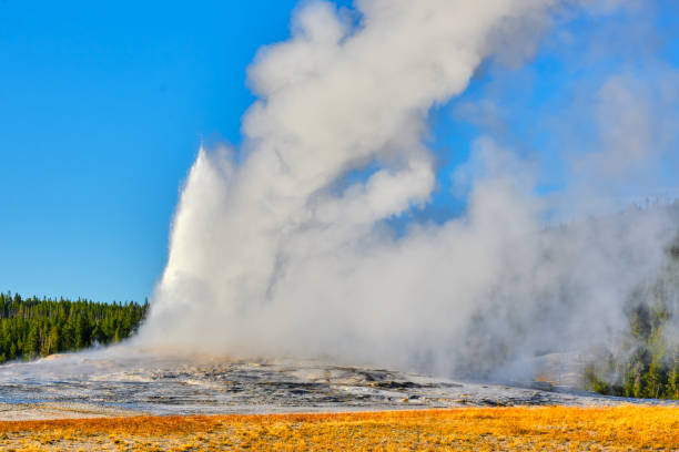 istock Old Faithful geyser 1356022882