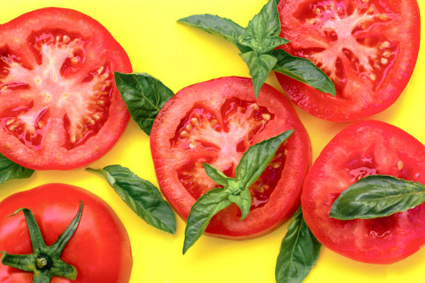 Sliced tomato, slices of tomato and basil close up