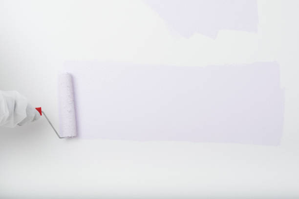 istock purple paint roller paints a strip on the white wall for your lettering 1356023125