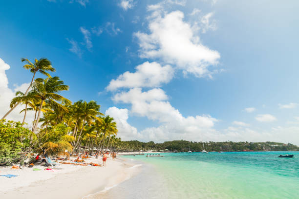 istock Clouds over La Caravelle beach in Guadeloupe 1356024823