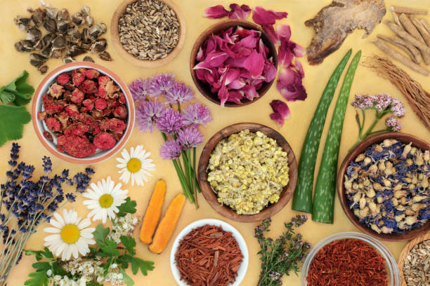 istock Healing Herbs for Natural Herbal Plant Medicine 1356025841