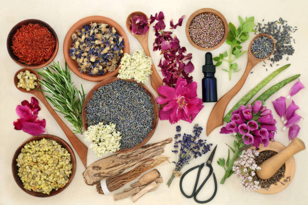 istock Natural Herbal Plant Medicine Preparation 1356025844