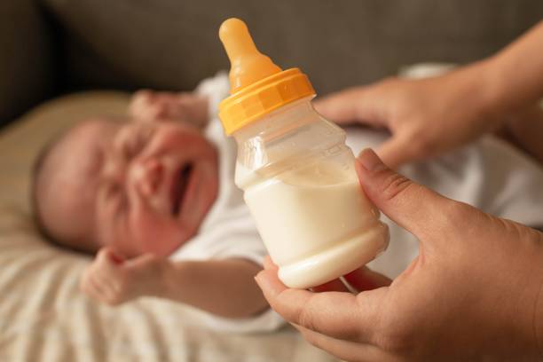 Mother trying to feed her hungry fussy baby with a bottle of milk. stock photo