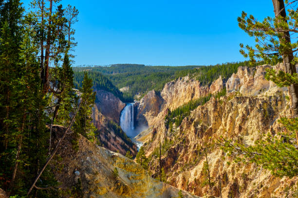 istock Lower Falls of Yellowstone River 1356027296
