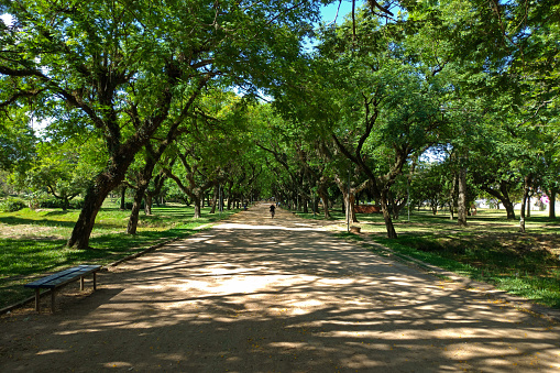 Parque Marino de Brasil - Porto Alegre, Rio Grande do Sul photo