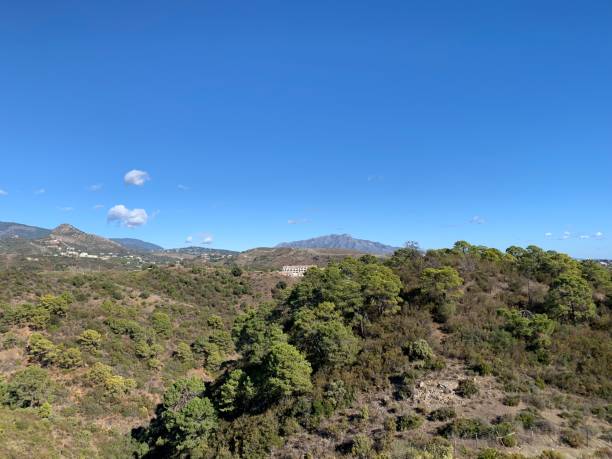 istock Estepona and Sierra Bermeja 1356028712