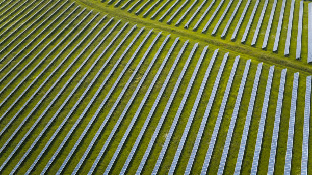 istock Aerial view of solar power plant 1356028864