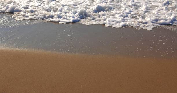 istock A background photo with a wave on a beach 1356030778