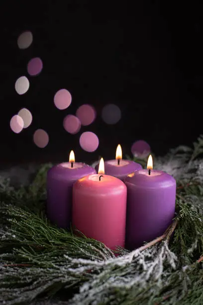 Three purple and one pink advent candles and snow-covered spruce branches with bokeh lights, Christmas catholic symbol.