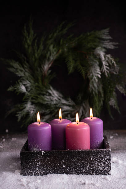 istock Four Christmas burning pink and purple advent candles. 1356031410