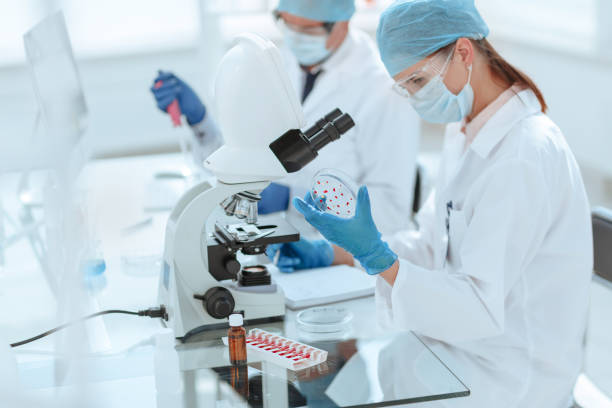 istock scientists investigating the development of bacteria in the laboratory 1356031894
