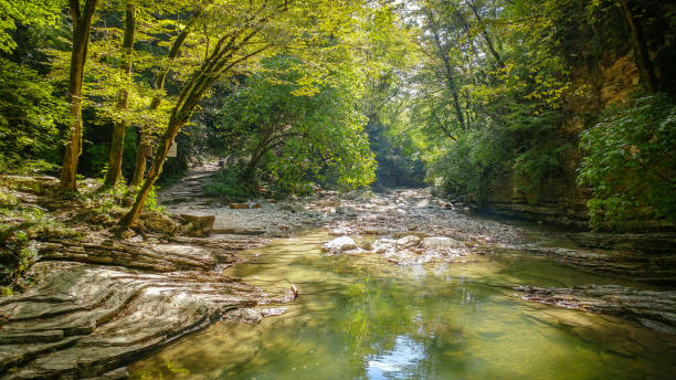istock Wild rainforest landscape with sharp rocks and flowing river 1356037348