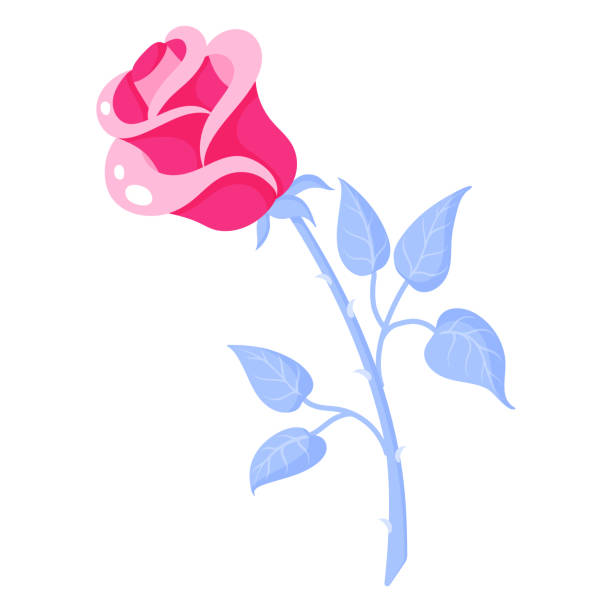 Red rose flower bud. Wedding and valentine day concept. Red rose flower bud. Wedding and valentine day concept. Vector cartoon isolated illustration. rose cartoon stock illustrations