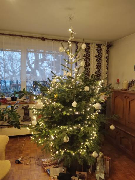 istock Christmas presents and gifts packed and prepared under the tree during holidays. 1356045263