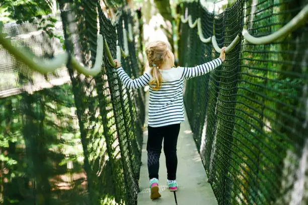 Cute little preschool girl walking on high tree-canopy trail with wooden walkway and ropeways on Hoherodskopf in Germany. Happy active child exploring treetop path. Funny activity for families outdoors.