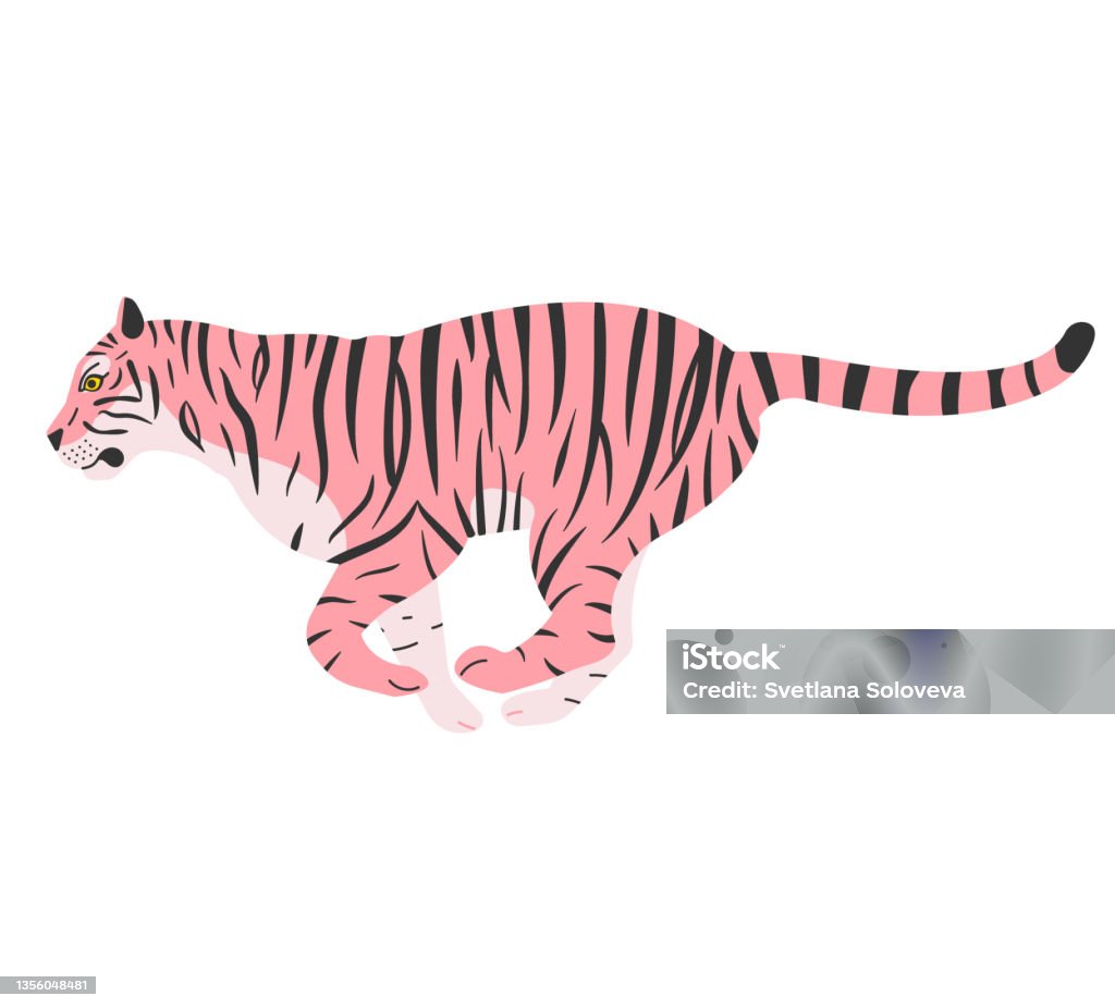 Pink Tiger Vector Vector Flat Hand Drawn Pink Tiger Stock Illustration - Download Image ...