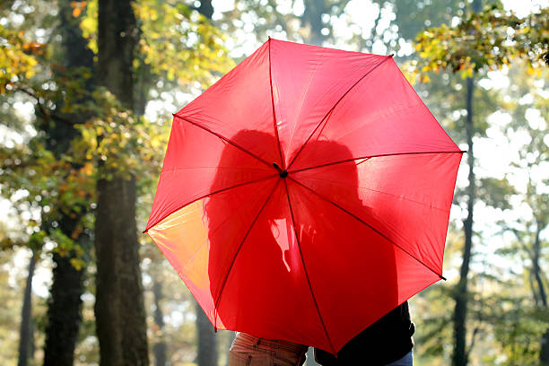 istock Two people sharing a kiss outdoors under a red umbrella 135605176