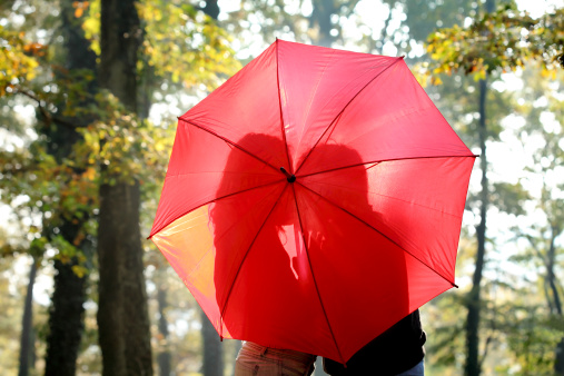 Silhouette of young couple behind umbrella in a forest