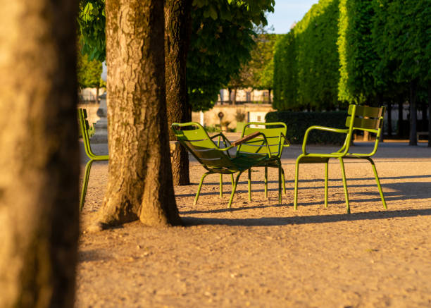 istock Empty chairs in the Tuileries garden in Paris 1356054102