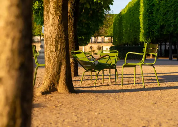 Empty chairs in the Tuileries garden in Paris, with chestnut trees, taken in a sunny spring morning
