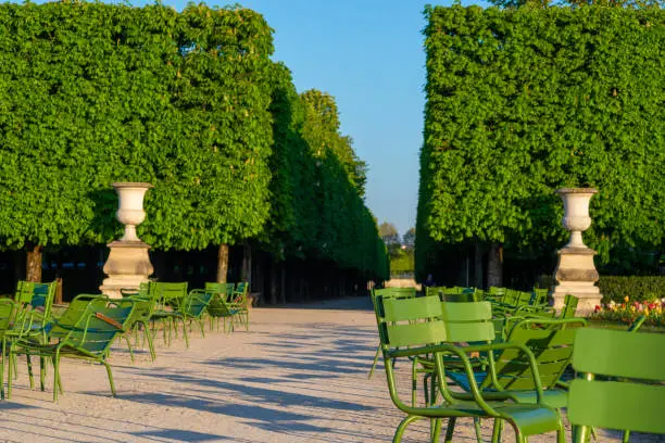 Stone urns and empty chairs in the Tuileries garden in Paris in Paris along an alley with row of chestnut trees in the background, taken in a sunny spring morning