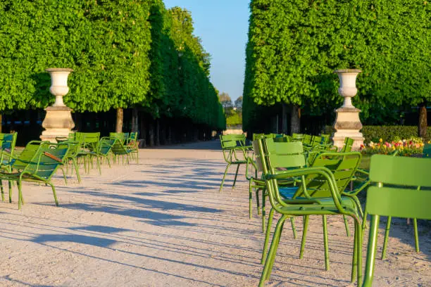 Stone urns and empty chairs in the Tuileries garden in Paris along an alley with row of chestnut trees in the background, taken in a sunny spring morning