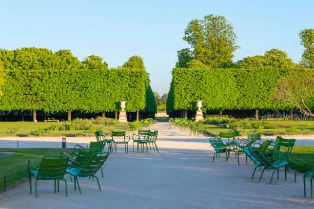 Stone urns and empty chairs in the Tuileries garden in Paris along an alley with row of chestnut trees in the background, seen from afar and taken in a sunny spring morning